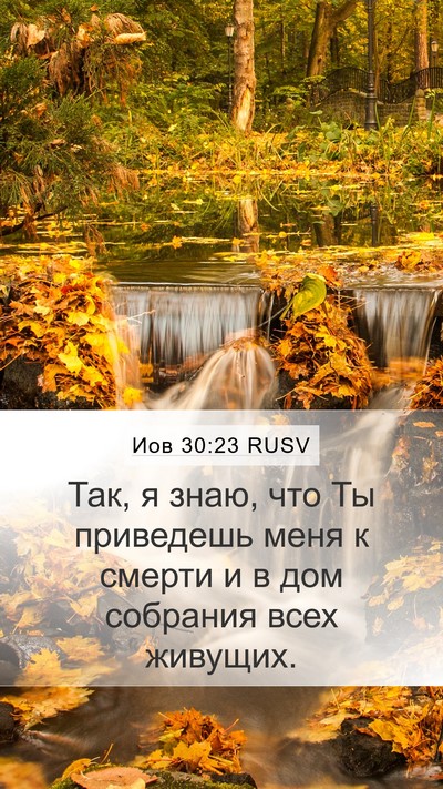 Иов 30:23 RUSV Bible Verse Image