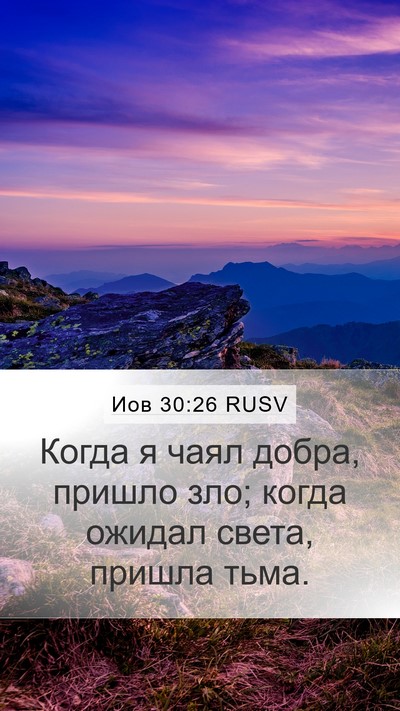 Иов 30:26 RUSV Bible Verse Image