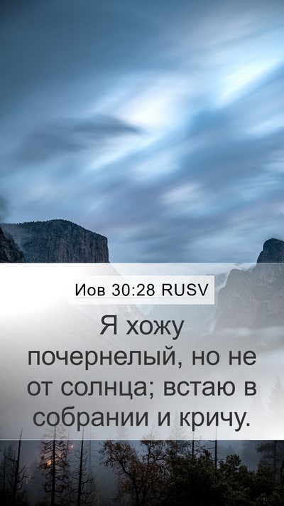Иов 30:28 RUSV Bible Verse Image
