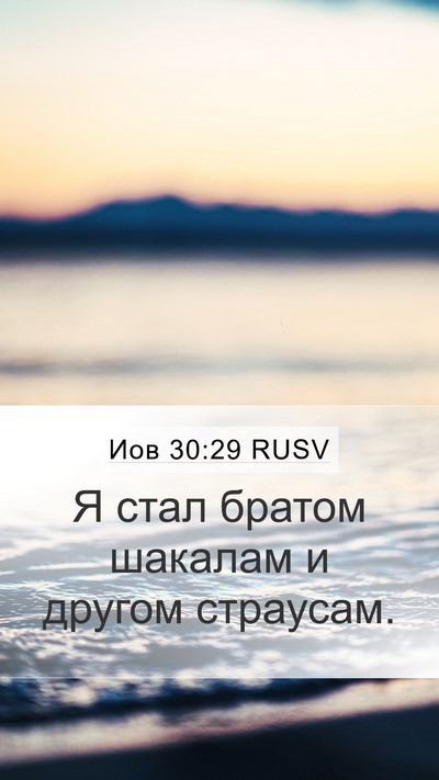 Иов 30:29 RUSV Bible Verse Image