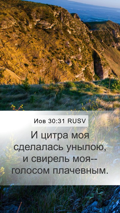 Иов 30:31 RUSV Mobile Phone Wallpaper - И цитра моя сделалась - Mobile Bible Verse Wallpaper