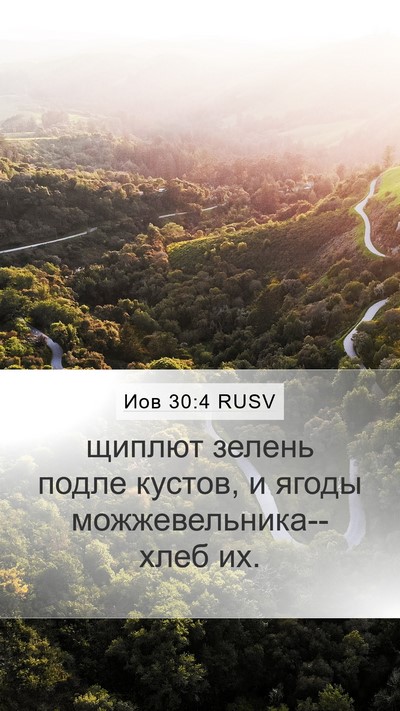 Иов 30:4 RUSV Mobile Phone Wallpaper - щиплют зелень подле - Mobile Bible Verse Wallpaper
