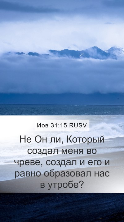 Иов 31:15 RUSV Bible Verse Image