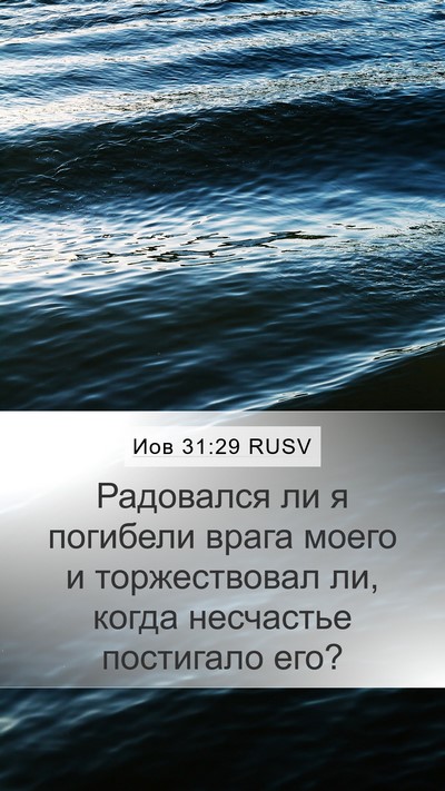 Иов 31:29 RUSV Bible Verse Image