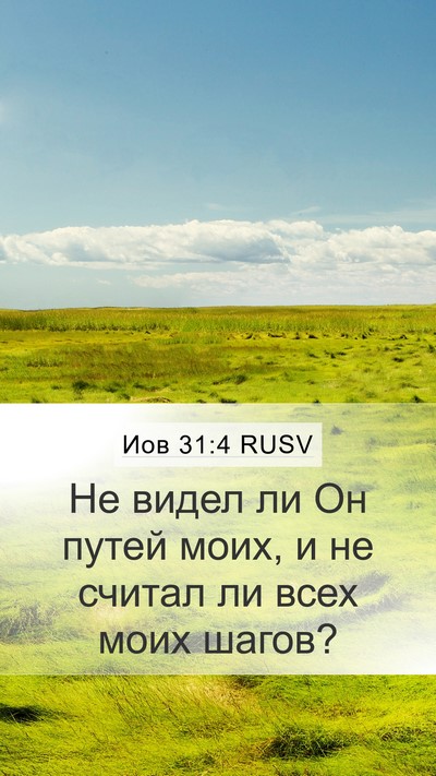 Иов 31:4 RUSV Bible Verse Image