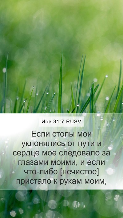 Иов 31:7 RUSV Bible Verse Image