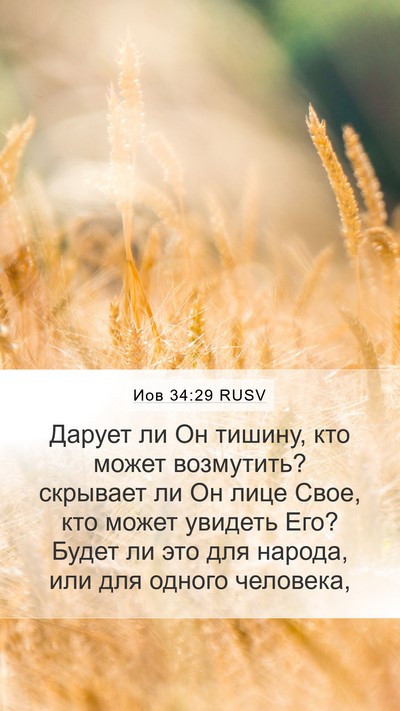 Иов 34:29 RUSV Bible Verse Image