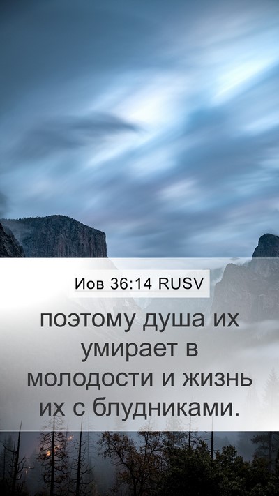 Иов 36:14 RUSV Bible Verse Image