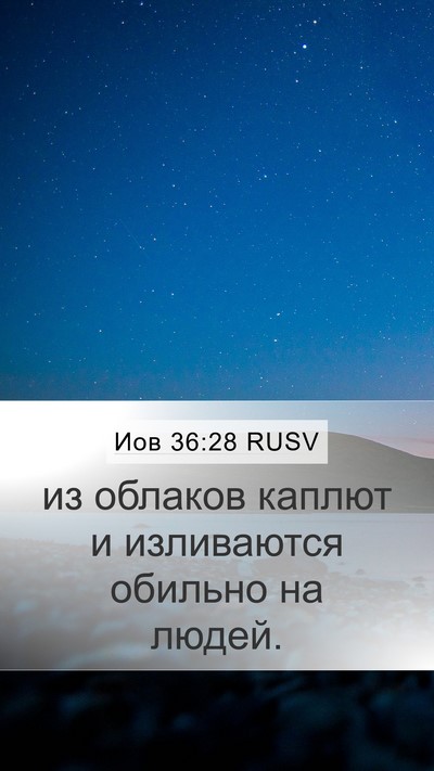 Иов 36:28 RUSV Mobile Phone Wallpaper - из облаков каплют и - Mobile Bible Verse Wallpaper