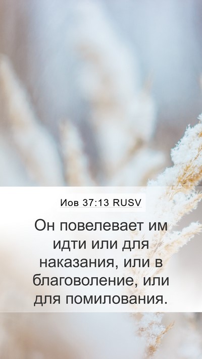Иов 37:13 RUSV Mobile Phone Wallpaper - Он повелевает им идти или - Mobile Bible Verse Wallpaper