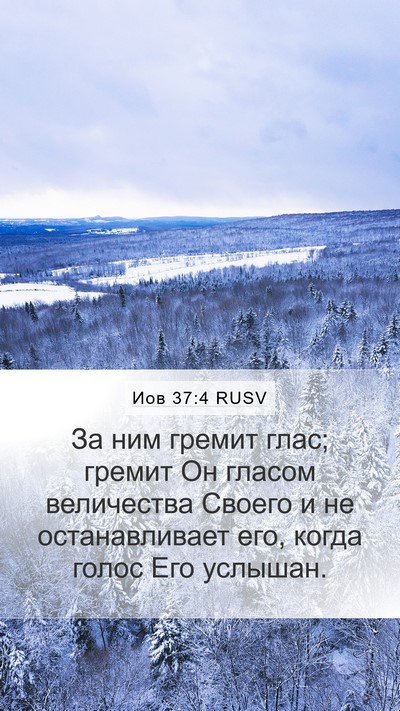 Иов 37:4 RUSV Bible Verse Image
