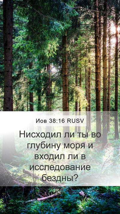 Иов 38:16 RUSV Bible Verse Image