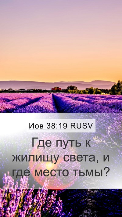 Иов 38:19 RUSV Bible Verse Image