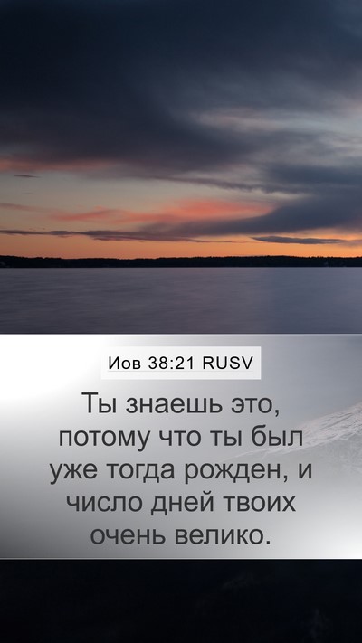 Иов 38:21 RUSV Bible Verse Image