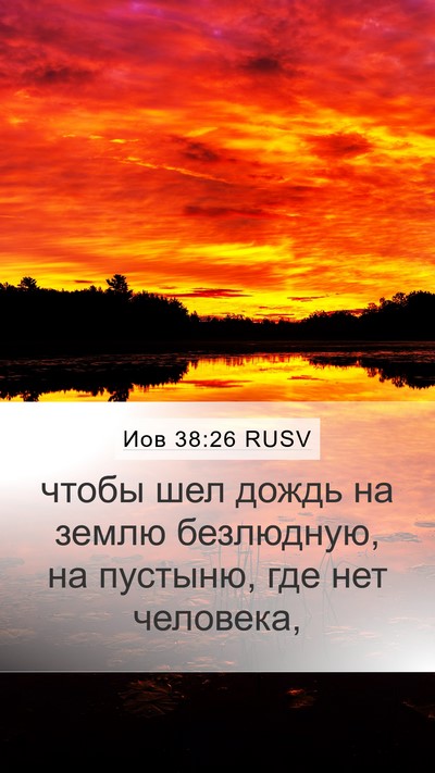 Иов 38:26 RUSV Bible Verse Image
