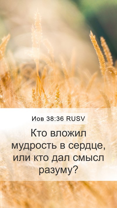 Иов 38:36 RUSV Bible Verse Image