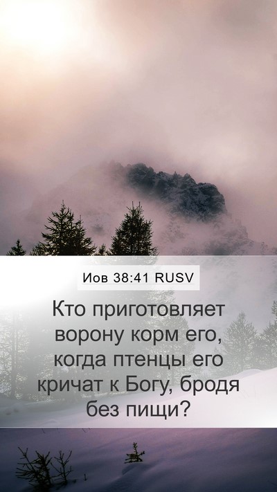 Иов 38:41 RUSV Bible Verse Image