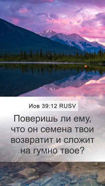 Иов 39:12 RUSV Mobile Phone Wallpaper - Поверишь ли ему, что он - Mobile Bible Verse Wallpaper