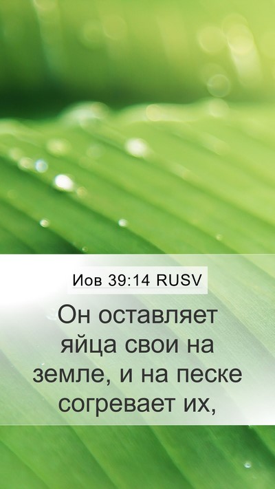 Иов 39:14 RUSV Bible Verse Image