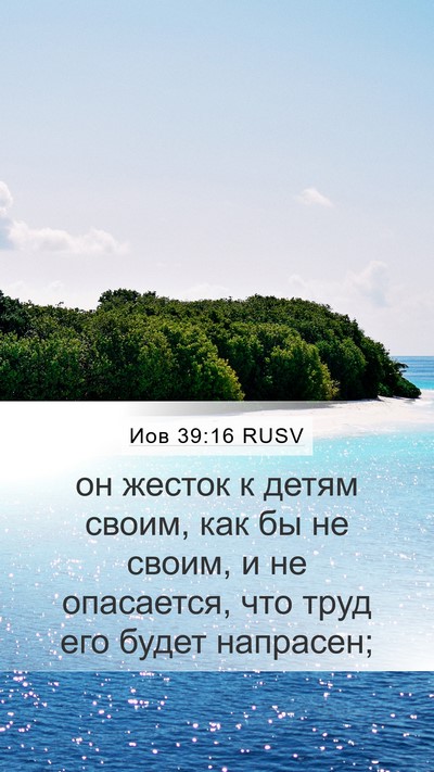 Иов 39:16 RUSV Mobile Phone Wallpaper - он жесток к детям своим, - Mobile Bible Verse Wallpaper