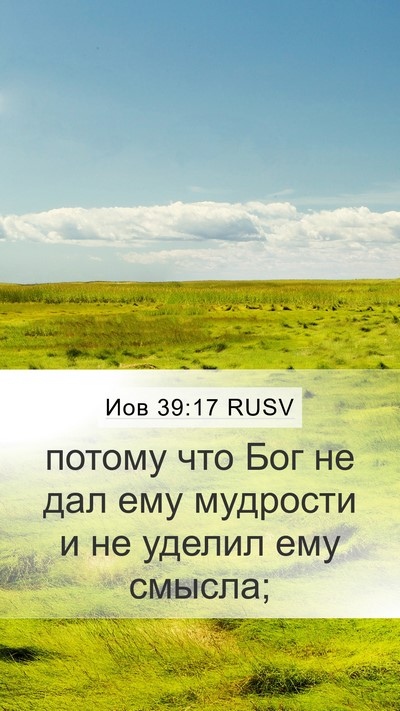 Иов 39:17 RUSV Bible Verse Image