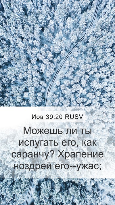 Иов 39:20 RUSV Mobile Phone Wallpaper - Можешь ли ты испугать его, - Mobile Bible Verse Wallpaper