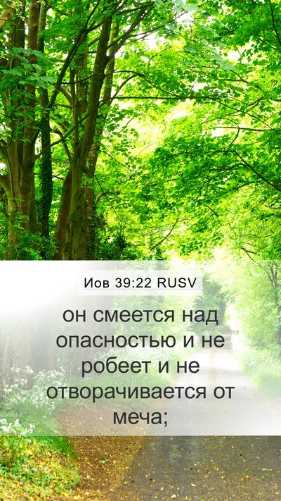 Иов 39:22 RUSV Bible Verse Image