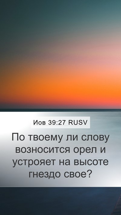 Иов 39:27 RUSV Bible Verse Image