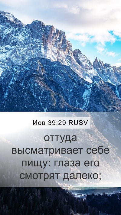 Иов 39:29 RUSV Mobile Phone Wallpaper - оттуда высматривает себе - Mobile Bible Verse Wallpaper