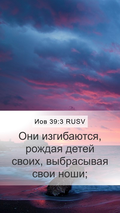 Иов 39:3 RUSV Mobile Phone Wallpaper - Они изгибаются, рождая - Mobile Bible Verse Wallpaper