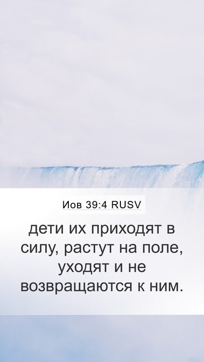 Иов 39:4 RUSV Bible Verse Image