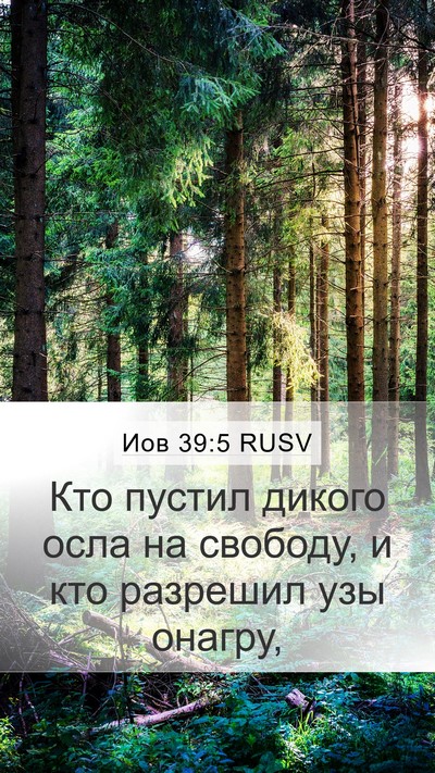 Иов 39:5 RUSV Bible Verse Image