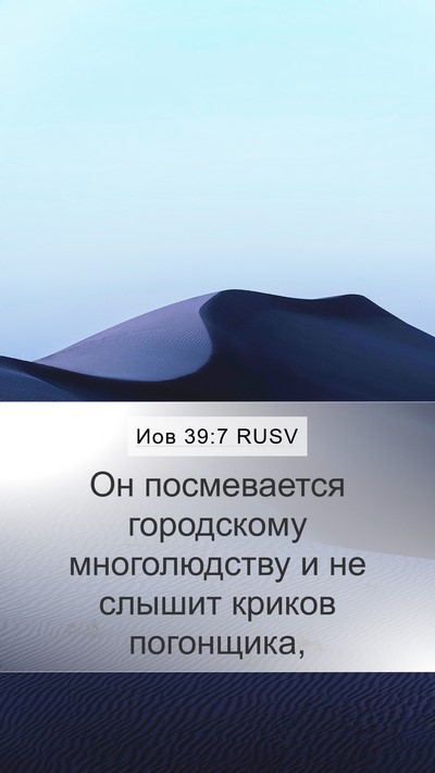Иов 39:7 RUSV Bible Verse Image