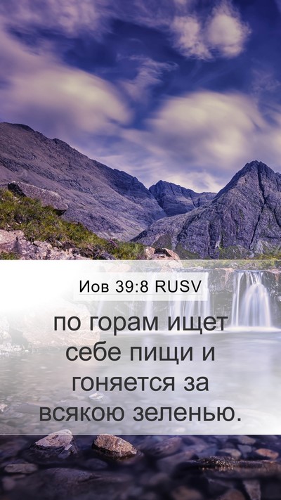Иов 39:8 RUSV Bible Verse Image