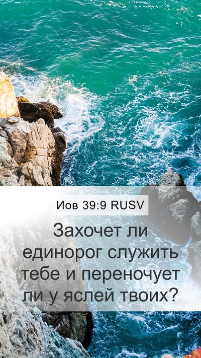 Иов 39:9 RUSV Bible Verse Image