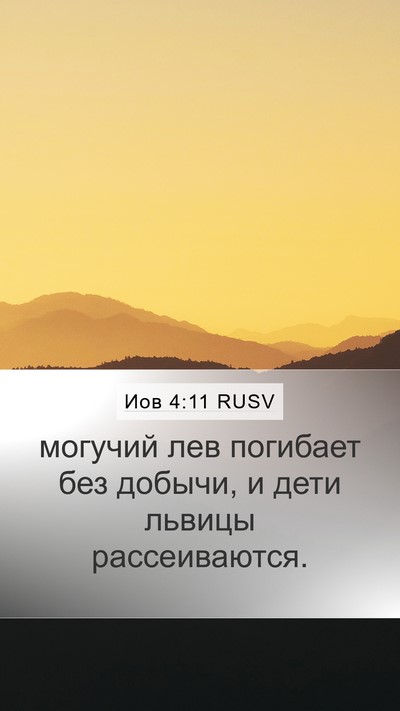 Иов 4:11 RUSV Mobile Phone Wallpaper - могучий лев погибает без - Mobile Bible Verse Wallpaper