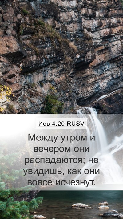 Иов 4:20 RUSV Bible Verse Image
