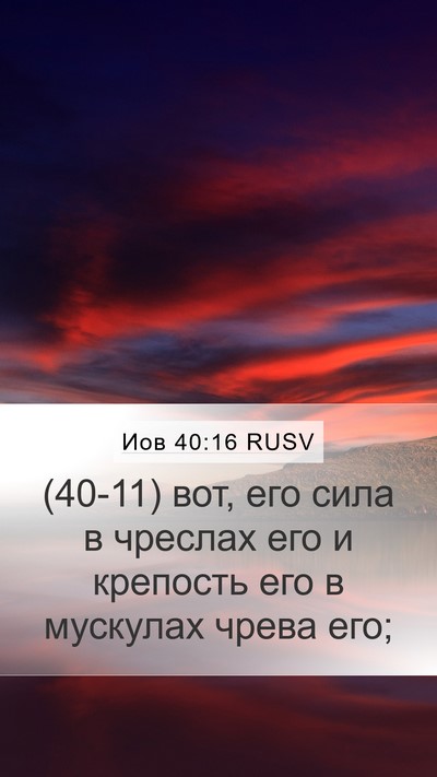Иов 40:16 RUSV Mobile Phone Wallpaper - (40-11) вот, его сила в чреслах - Mobile Bible Verse Wallpaper