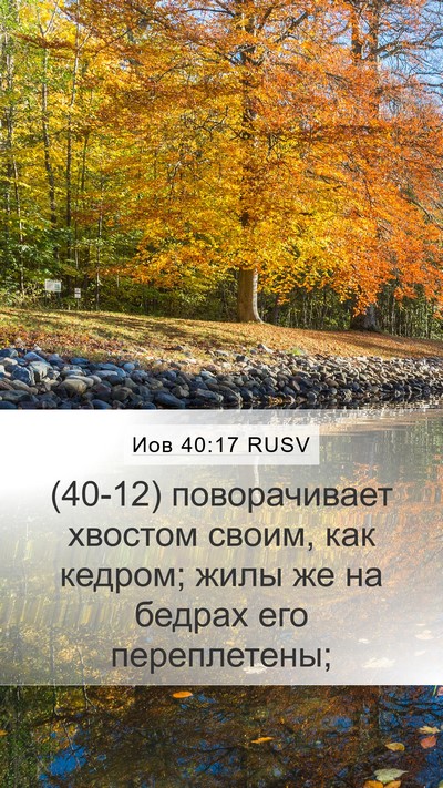 Иов 40:17 RUSV Bible Verse Image