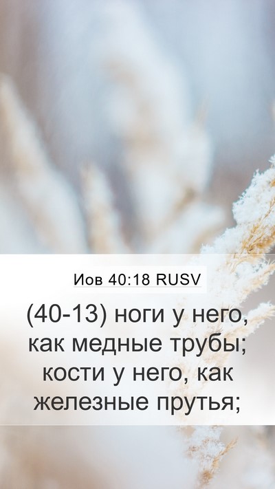 Иов 40:18 RUSV Bible Verse Image