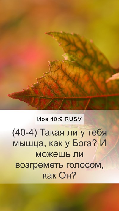 Иов 40:9 RUSV Bible Verse Image