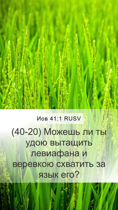 Иов 41:1 RUSV Bible Verse Image