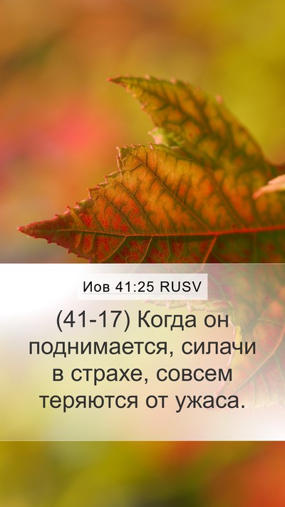 Иов 41:25 RUSV Mobile Phone Wallpaper - (41-17) Когда он поднимается, - Mobile Bible Verse Wallpaper