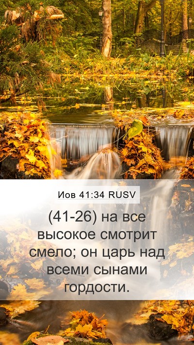 Иов 41:34 RUSV Bible Verse Image
