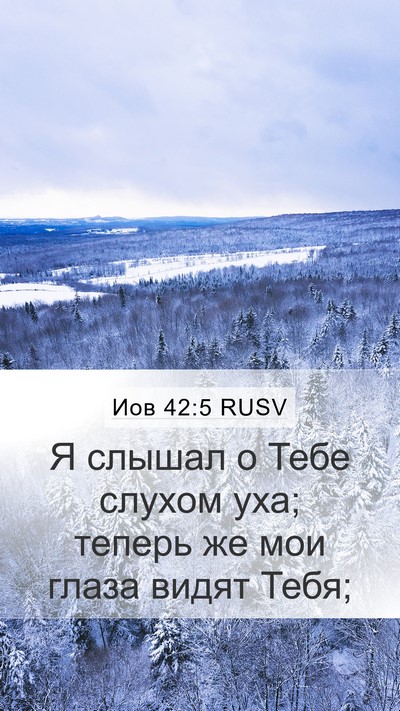 Иов 42:5 RUSV Bible Verse Image