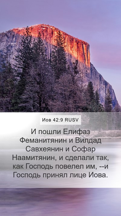 Иов 42:9 RUSV Bible Verse Image