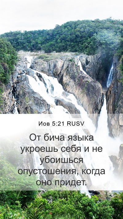 Иов 5:21 RUSV Bible Verse Image