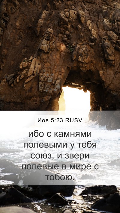 Иов 5:23 RUSV Bible Verse Image