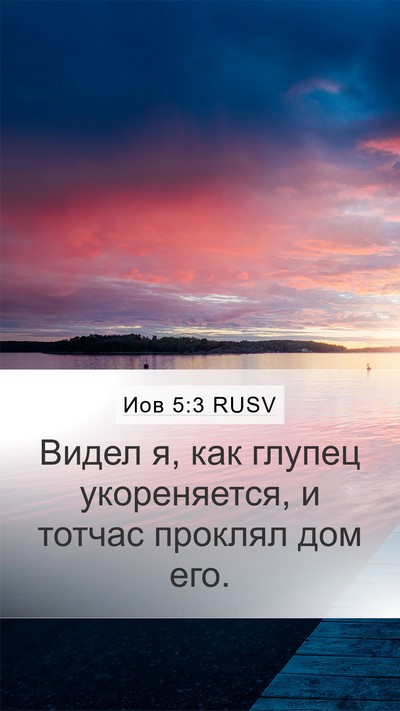 Иов 5:3 RUSV Bible Verse Image