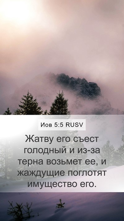 Иов 5:5 RUSV Bible Verse Image